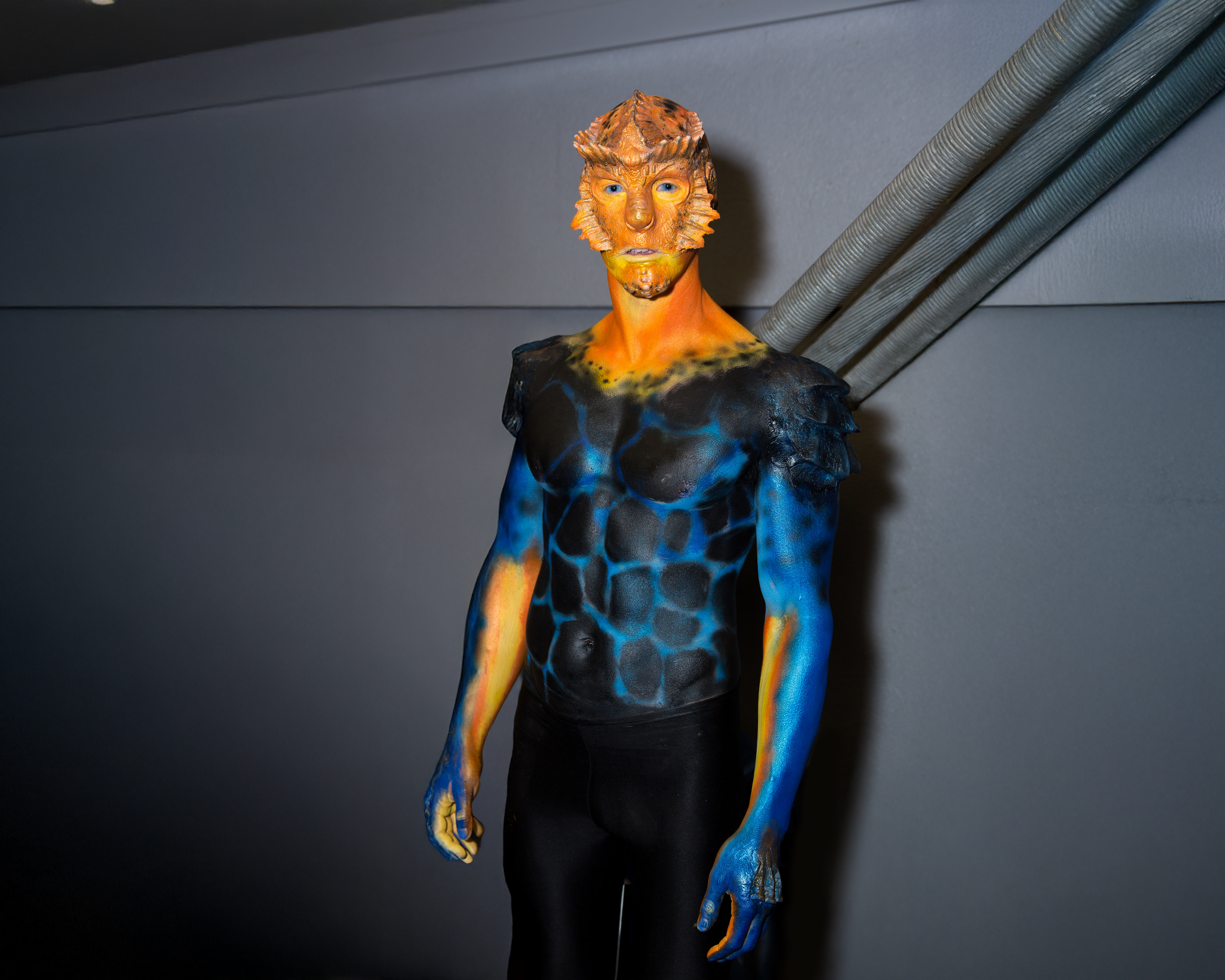 Fish themed superhero