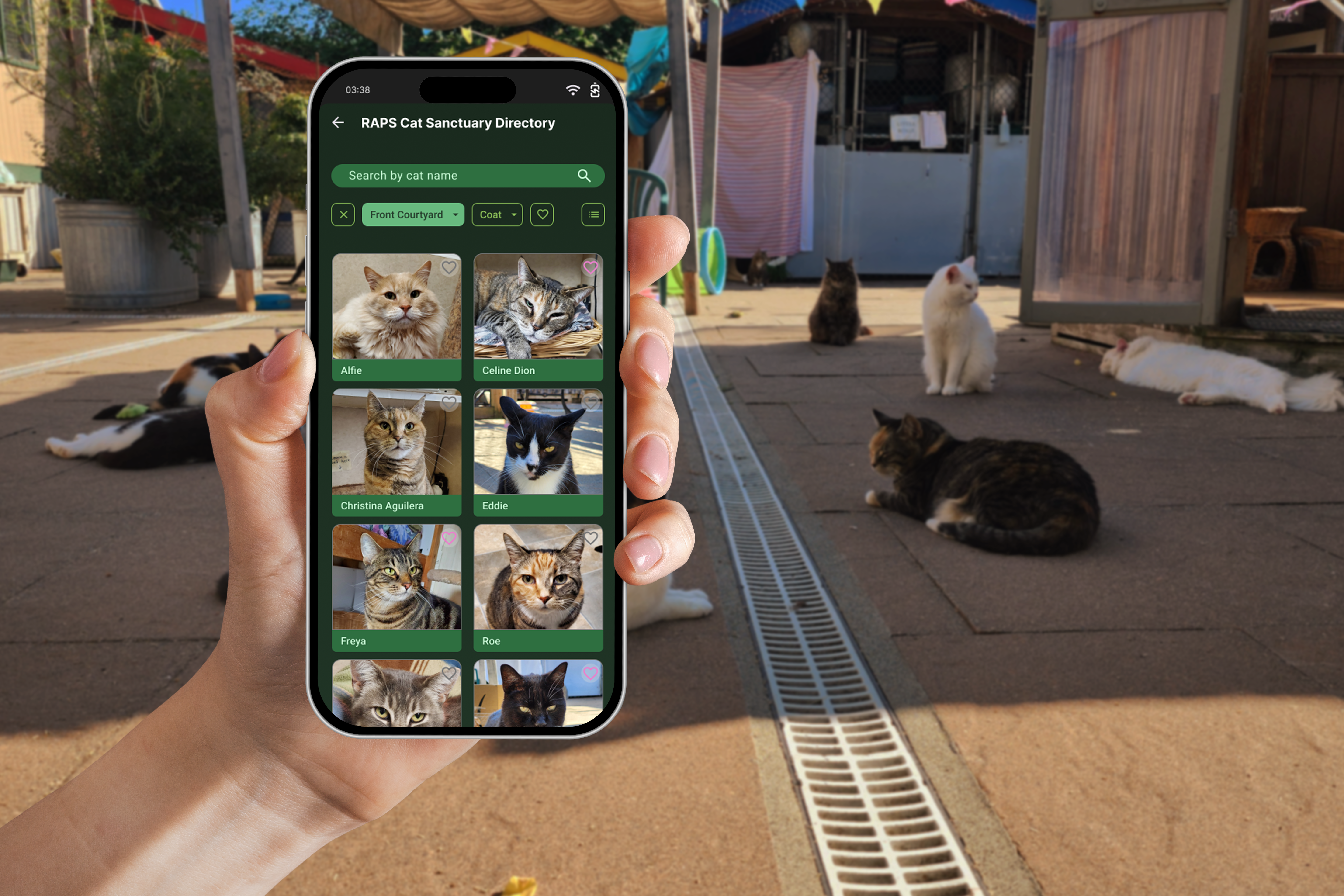 RAPS Directory Prototype